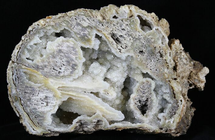 Agatized Fossil Coral With Druzy Quartz - Florida #30700